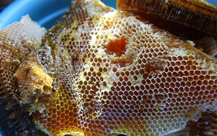 Bánh mật ong rừng nguyên chất